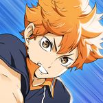 Haikyuu Fly High Game