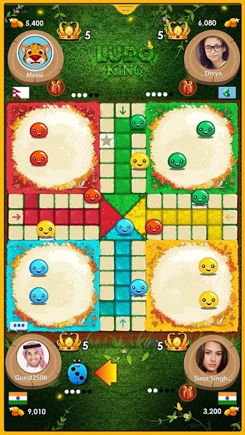 ludo king game