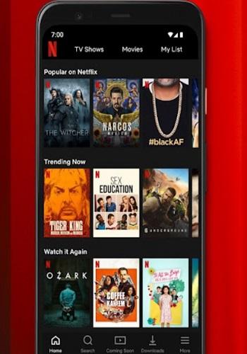 Netflix Mirror APK android