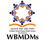 WBMDMs