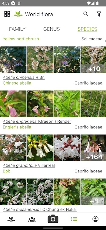 plant for app android