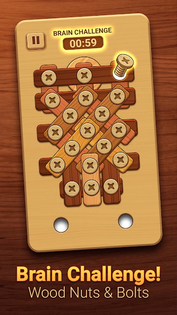 wood screw puzzle latest version