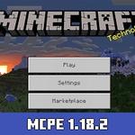 Minecraft 1.18.2