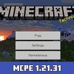 Minecraft 1.21.31