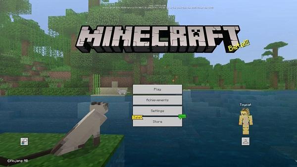 minecraft 1 19 73 02 free