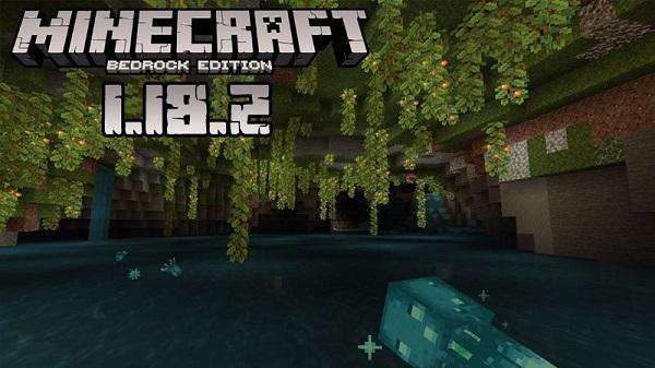 minecraft 1 18 2 download