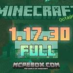 Minecraft 1.17.30