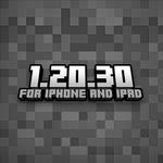 Minecraft 1.20.30