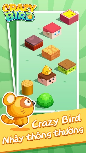 crazy bird apk