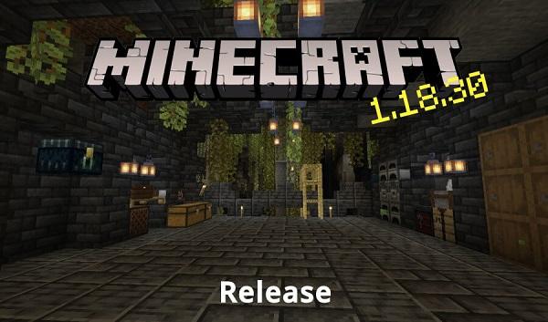 minecraft 1 17 30 apk