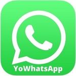 YoWhatsApp