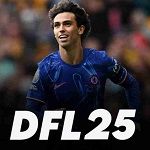 DFL 25